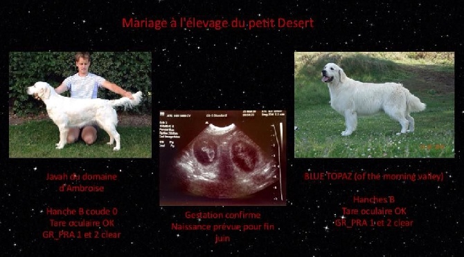 Du Petit Desert - futur portee